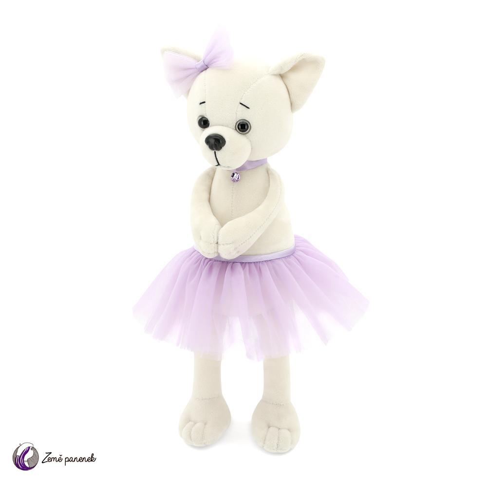 Lucky Lili Violet bílá čivava
