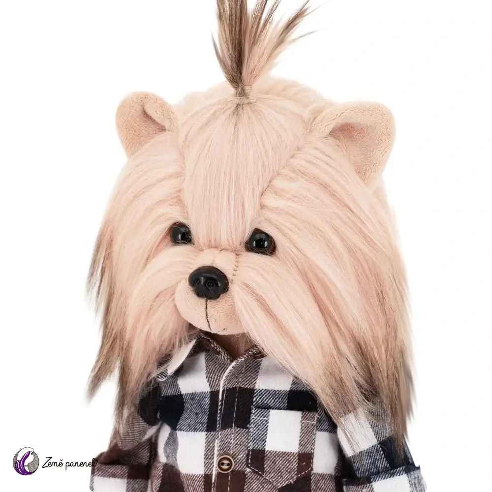 Lucky Doggy Andy Stylish Boy