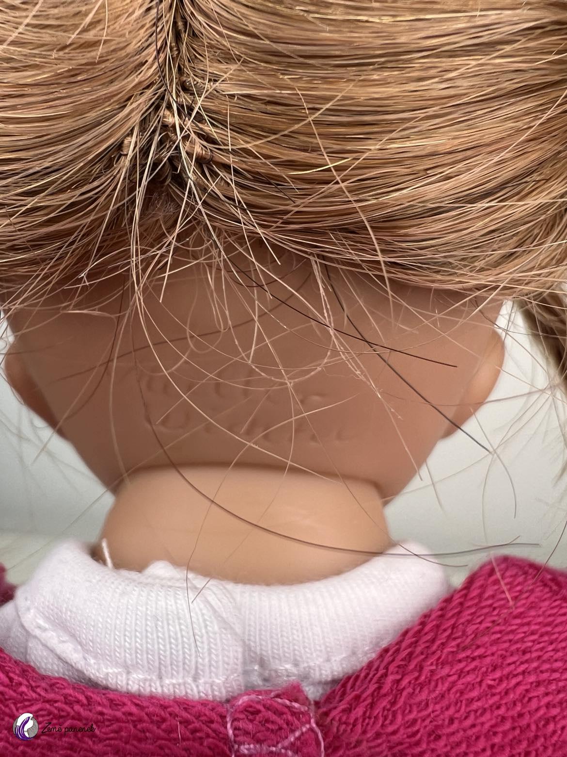 Schildkroet panenka Müller-Wichtel Lea 