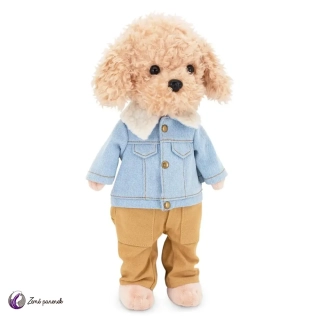 Lucky Doggy Sammy Fashionable Boy